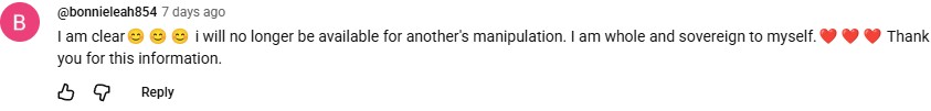 YouTube comment by @bonnieleah854