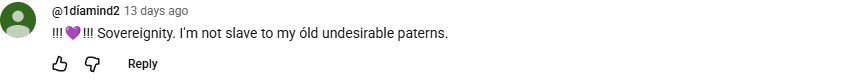 YouTube comment by @1díamind2